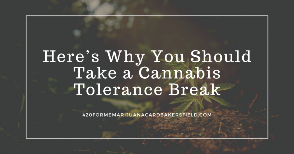 medical marijuana doctor